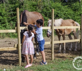Madagaschool-Bambini-e-Animali-7